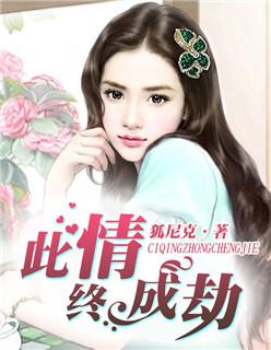 宏图记录仪是杂牌还是正牌