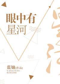 眼中有星河27章