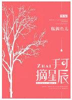 手可摘星辰下一句是什么