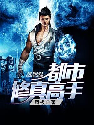 都市修真高手向杨