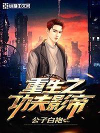 重生之功夫天王